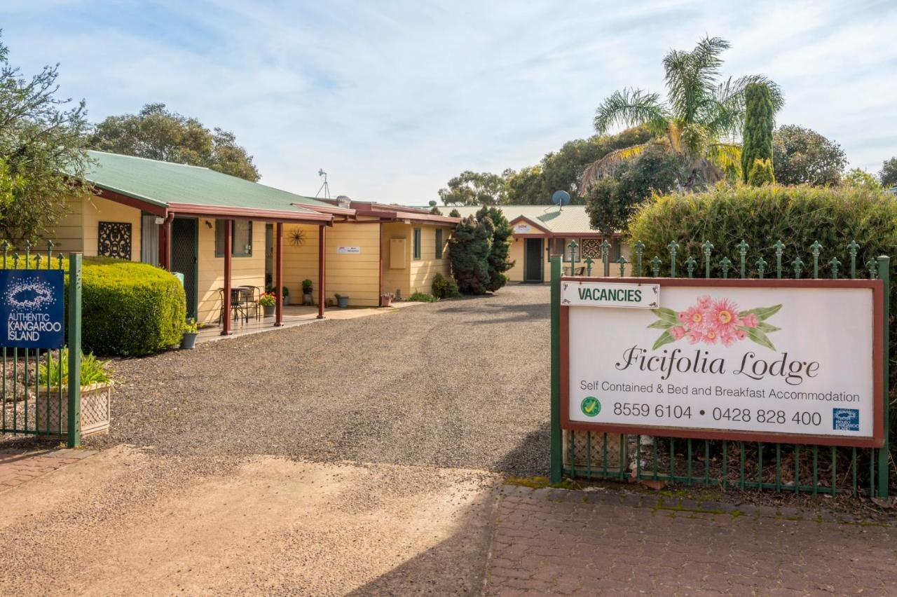 Ficifolia Lodge Parndana Exterior photo