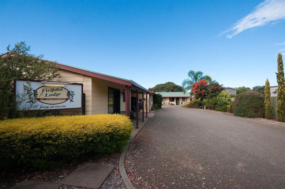 Ficifolia Lodge Parndana Exterior photo