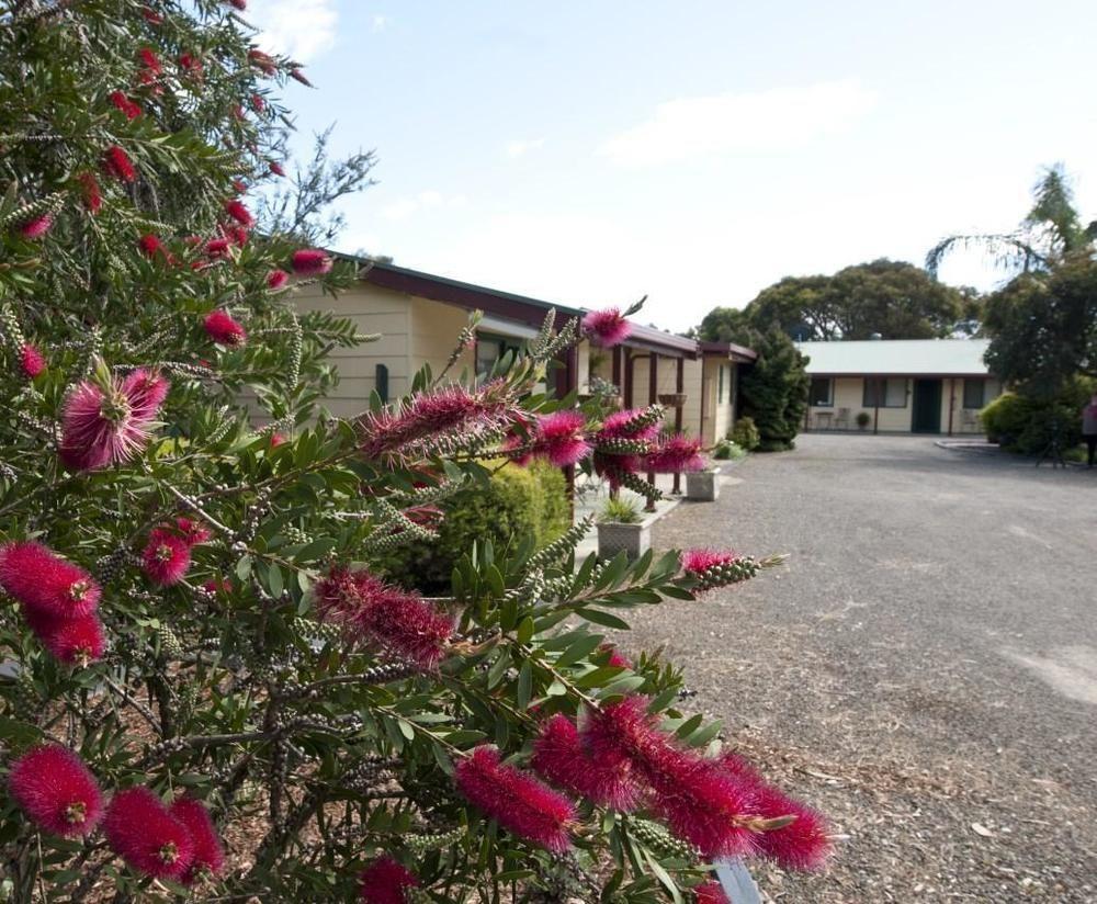 Ficifolia Lodge Parndana Exterior photo
