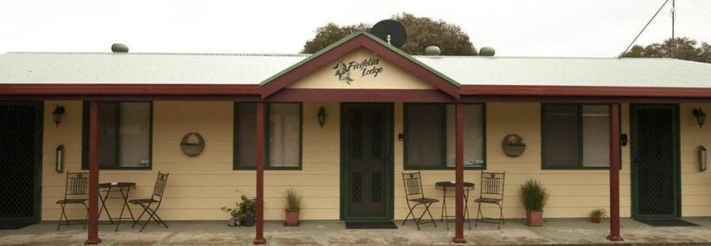 Ficifolia Lodge Parndana Exterior photo