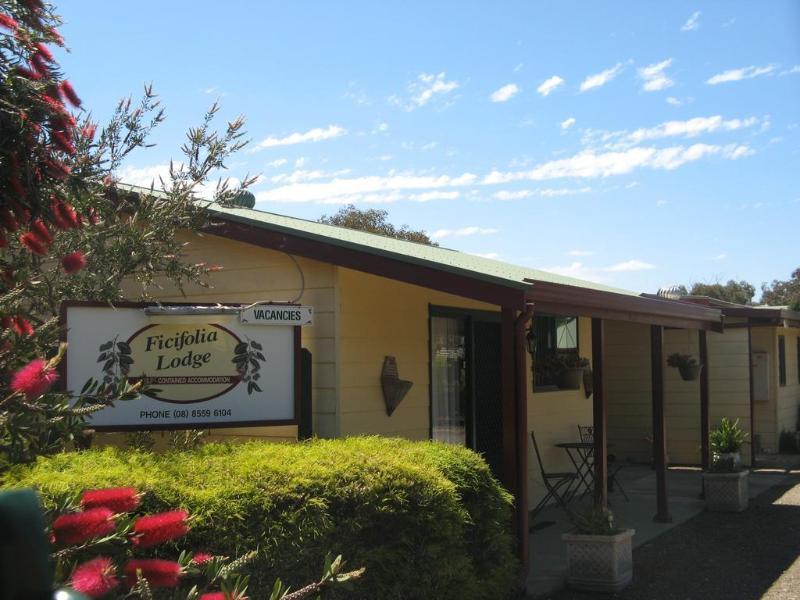 Ficifolia Lodge Parndana Exterior photo